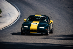 Miata-Stripe11@033x